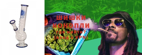 мдпв Пестово