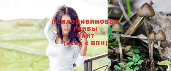 герыч Переславль-Залесский