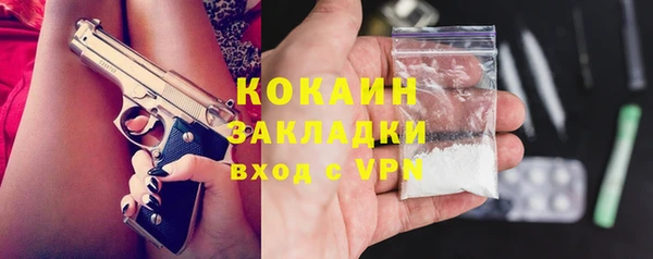 мдпв Пестово