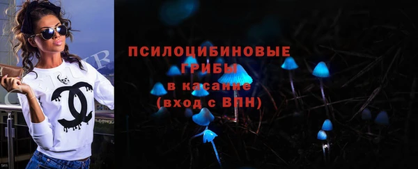 мдпв Пестово