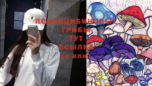 герыч Переславль-Залесский