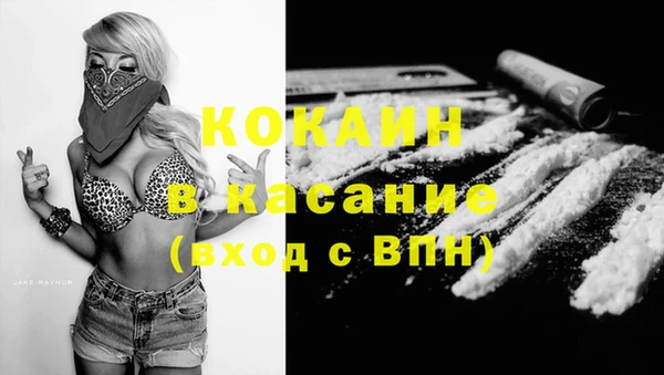 мдпв Пестово