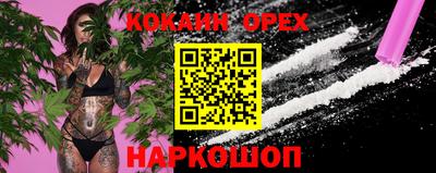 jwh Камышлов