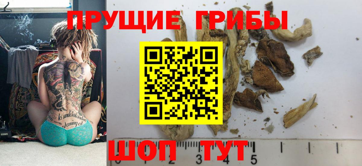Псилоцибиновые грибы ЛСД Азов