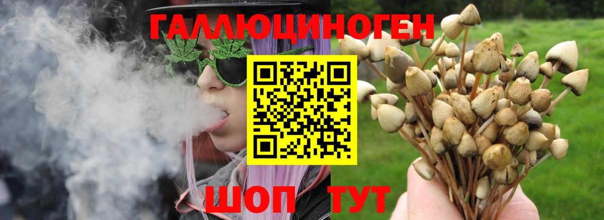 Азов  где можно купить наркотик  Вход с VPN  Псилоцибиновые грибы ЛСД  Галлюциногенные грибы прущие грибы 